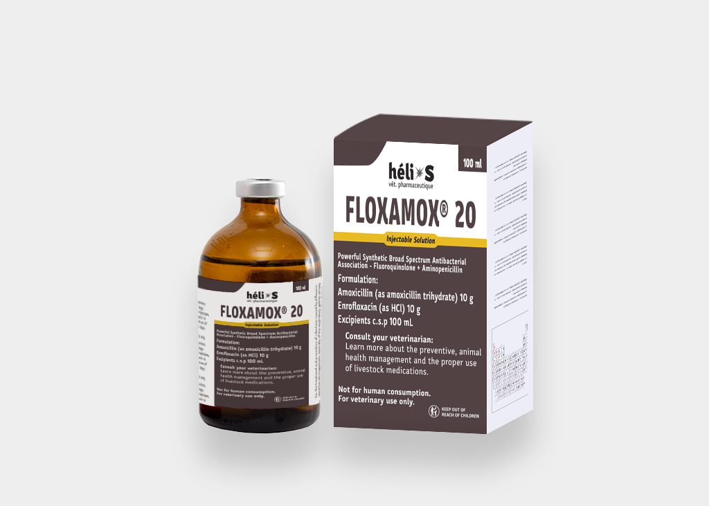 TILOMED injection for dogs - Zoetis